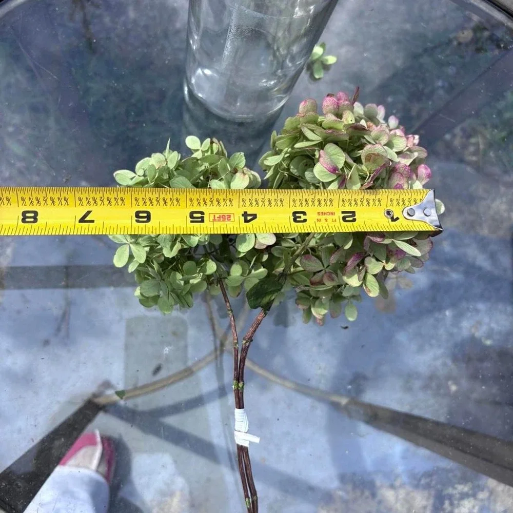 Real Preserved Hydrangea Stems 2pc Sage Green & Dusty Rose Pink Floral Decor